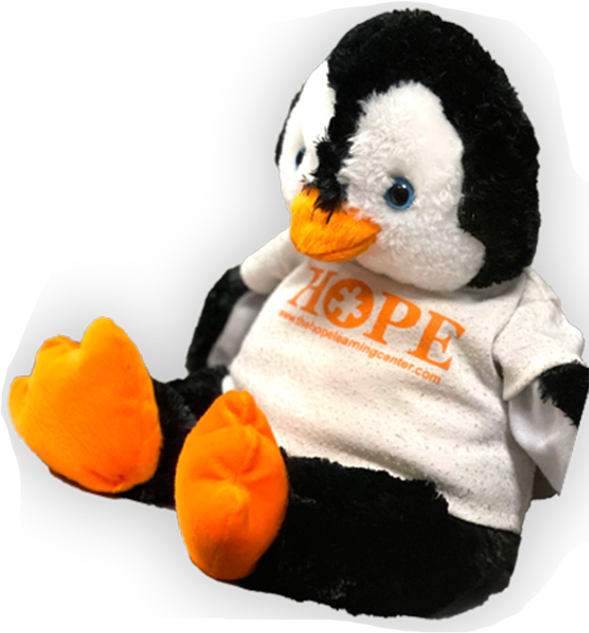 thehopecenterduck